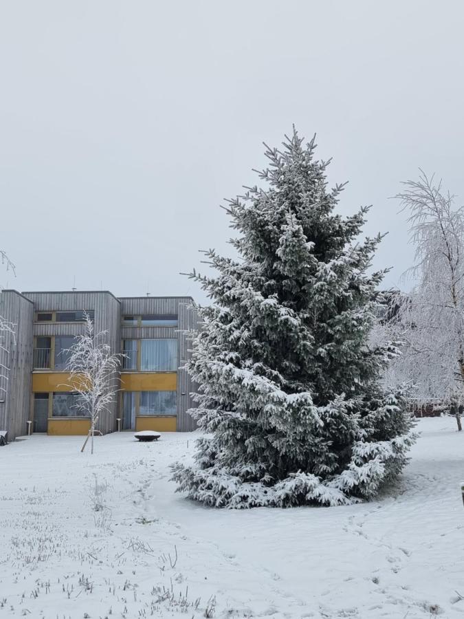 Apartment Max Loučná pod Klínovcem Exterior foto